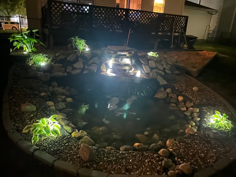 Custom outdoor pond installation